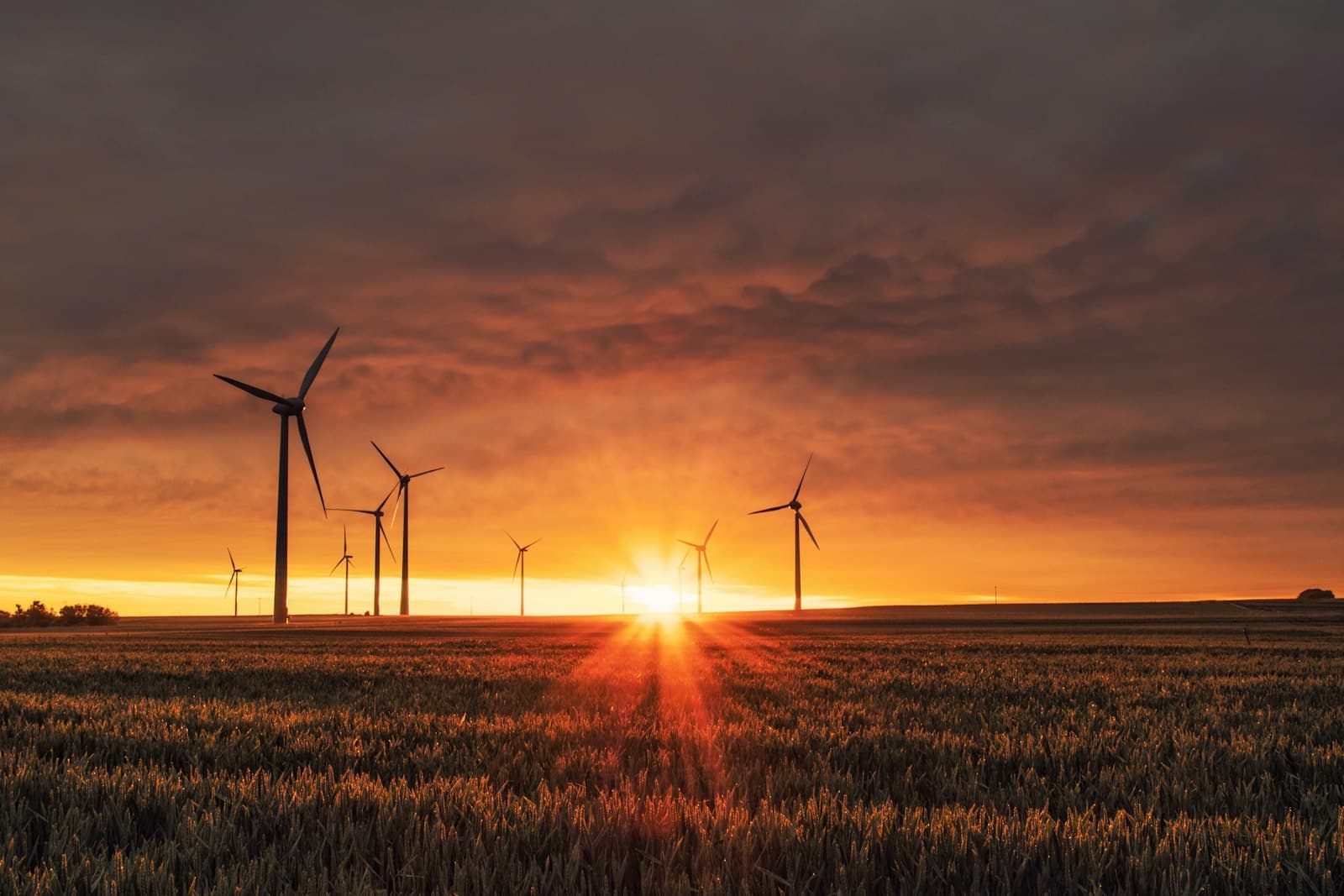 Scope 1 and 2 start with energy-carrier totals you already trust